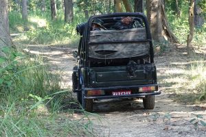 jeep safari Bardia National Park
