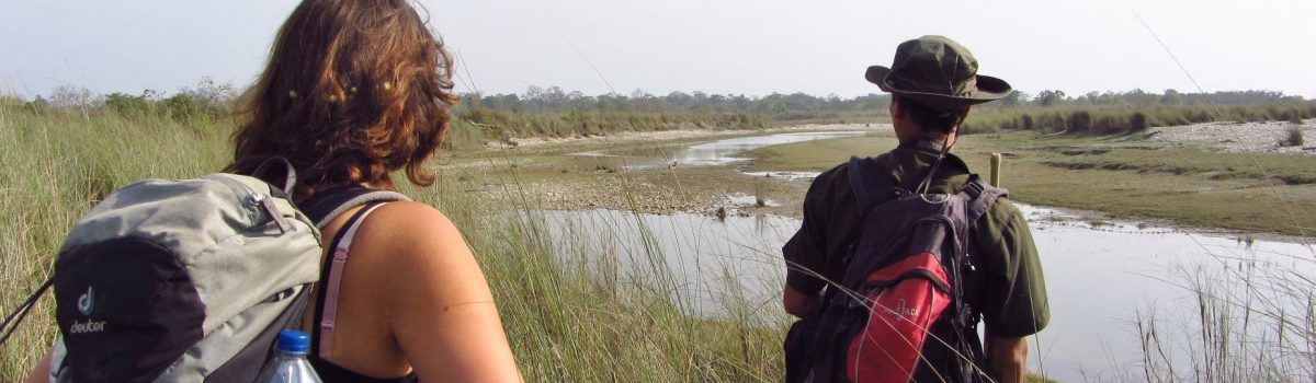 jungle walk Bardia National Park