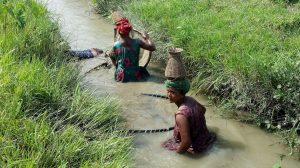 Tharu women fishing Bardia Nepal
