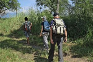 jungle walk Bardia National Park Nepal