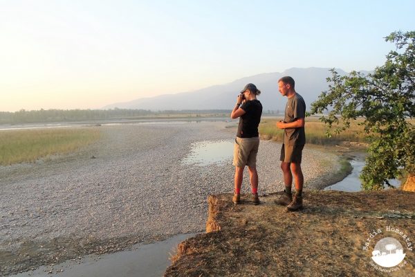Bardia National Park Nepal wildlife spotting