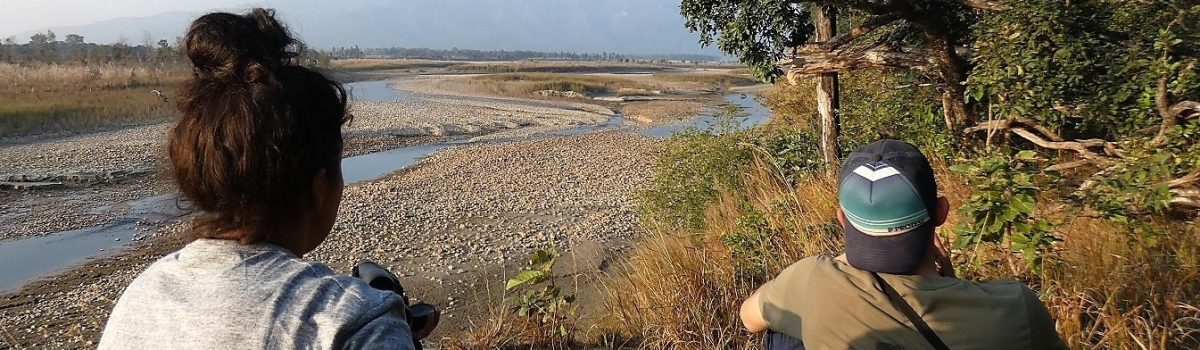 Wildlife spotting Bardia National Park Nepal Wildlife spotting Bardia National Park Nepal