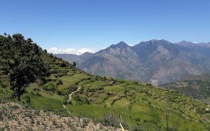 Khaptad National Park Far West Nepal