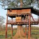Treehouse Bardia National Park Nepal