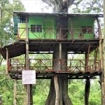 Treehouse Bardia National Park Nepal
