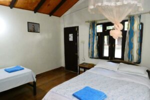 Room Bardia Homestay
