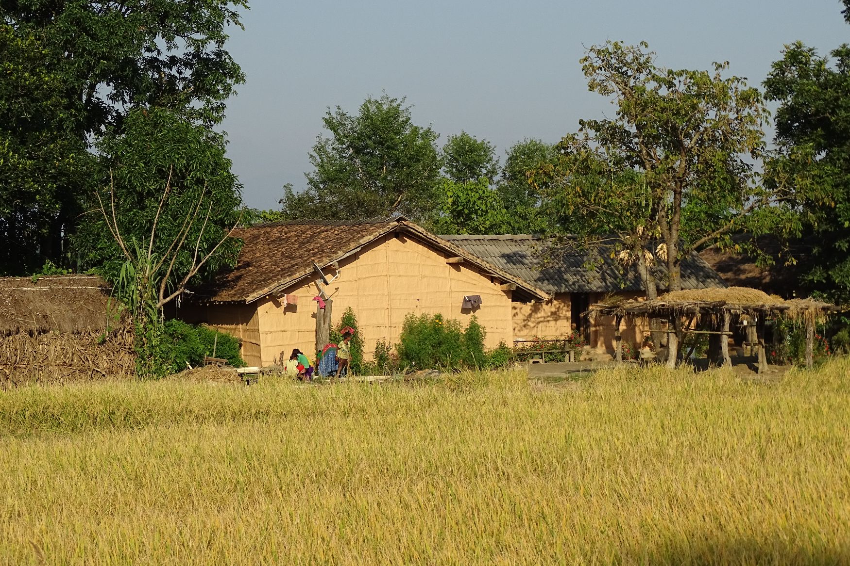 Countryside Bardia National Park